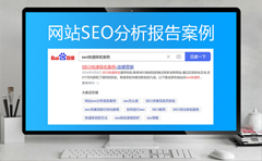 網(wǎng)站SEO分析報(bào)告案例