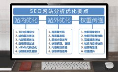 SEO網(wǎng)站分析案例